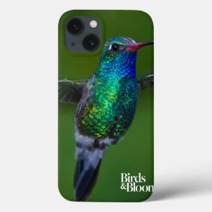 Flyta hummingbirden
