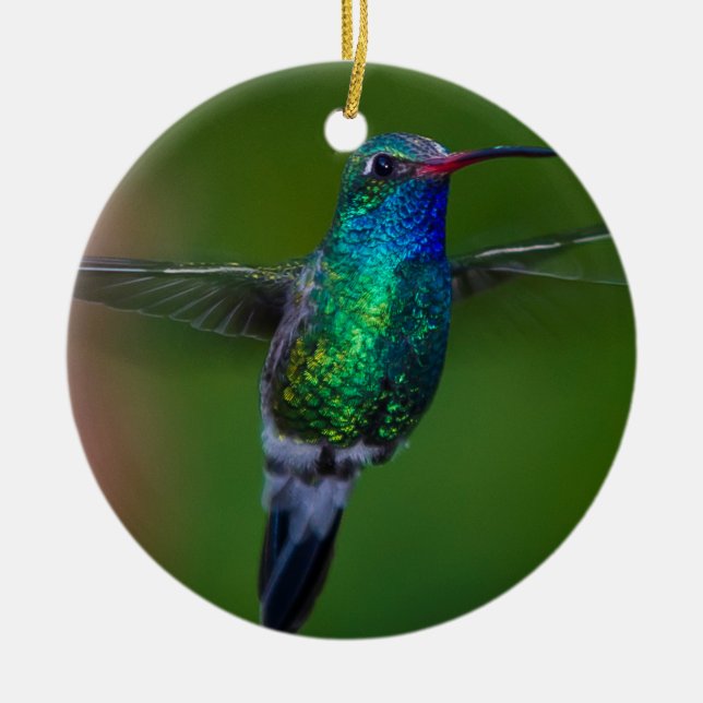 Flyta hummingbirden julgransprydnad keramik (Framsidan)