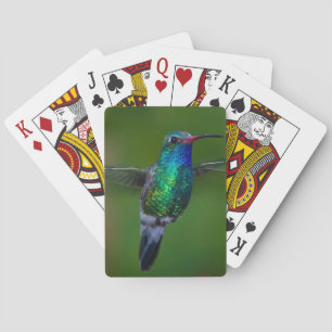 Flyta hummingbirden kortlek