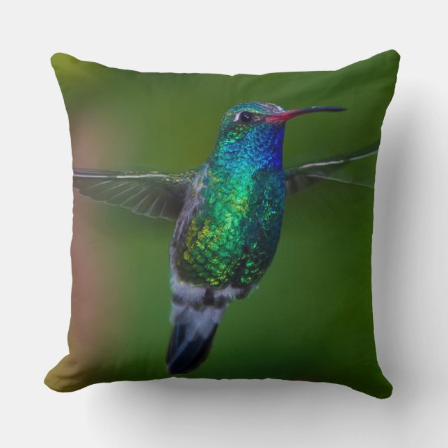 Flyta hummingbirden kudde (Framsida)