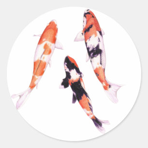 Flyta Koi Sticker Runt Klistermärke