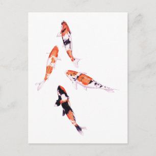 Flyta Koi-vykort Vykort