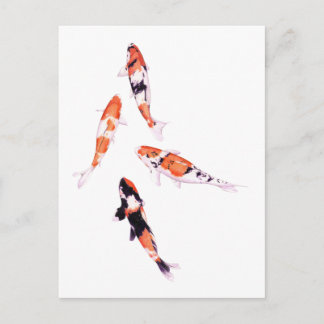 Flyta Koi-vykort Vykort