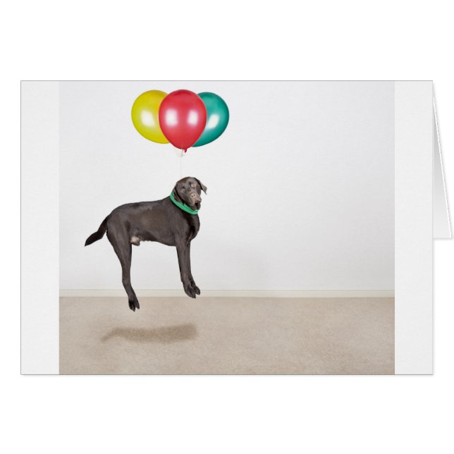 Flyta Labrador Hälsningskort (Framsidan Horizontal)