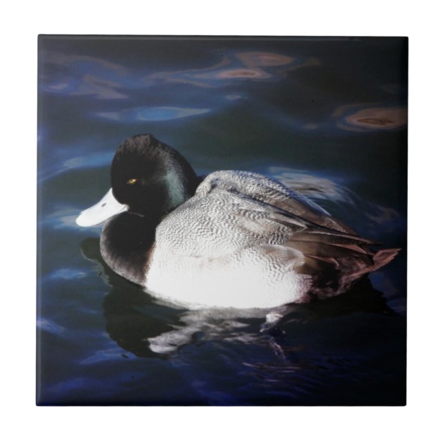 Flyta med solsken kakelplatta (Framsidan)