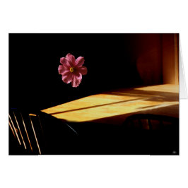 Flyta nederländskekort hälsningskort