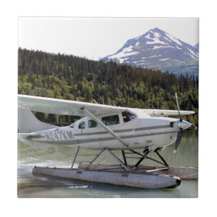 Flyta plant, slinga sjön, Alaska 3 Kakelplatta