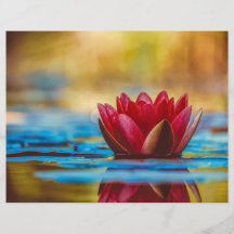 Flyta Red Lotus Scrapbook Papper