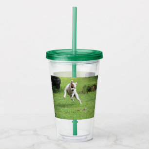 Flyta Take Away Mugg
