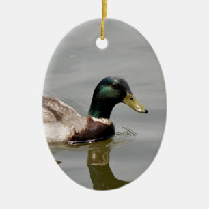 Flytande Anka Julgransprydnad Keramik