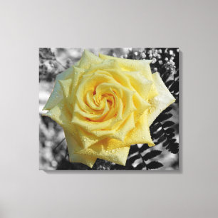 Flytande diamanter canvastryck