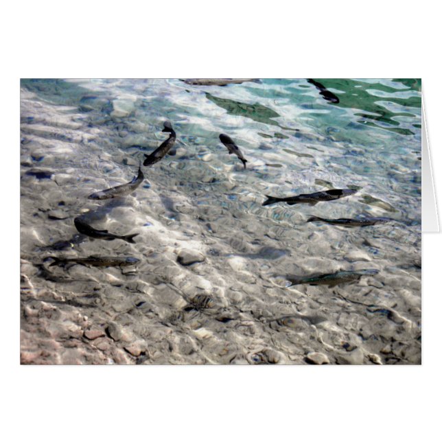 Flytande fisk hälsningskort (Framsidan Horizontal)