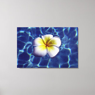 FLYTANDE FRANGI 24x36 Canvastryck