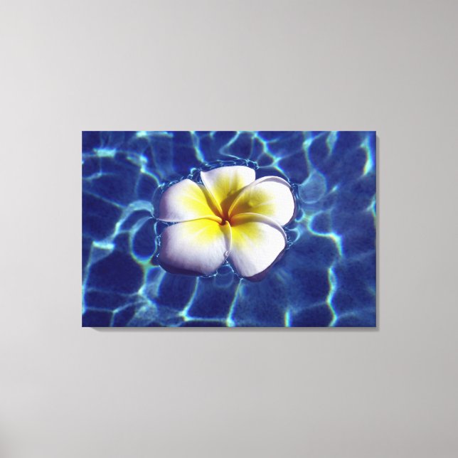 FLYTANDE FRANGI 24x36 Canvastryck (Framsida)