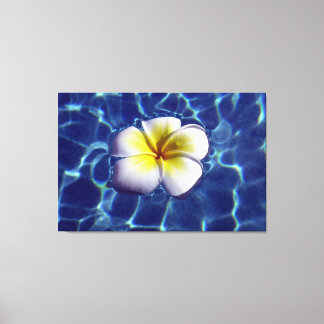 FLYTANDE FRANGI 32x48 Canvastryck