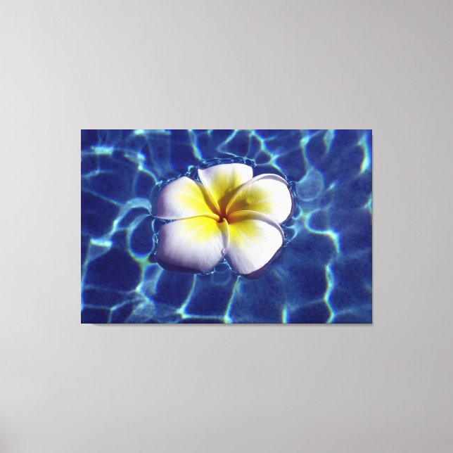 FLYTANDE FRANGI 32x48 Canvastryck (Framsida)