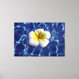 FLYTANDE FRANGI 40x60 Canvastryck