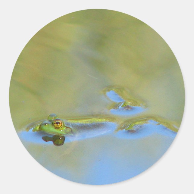 Flytande groda runt klistermärke (Framsida)