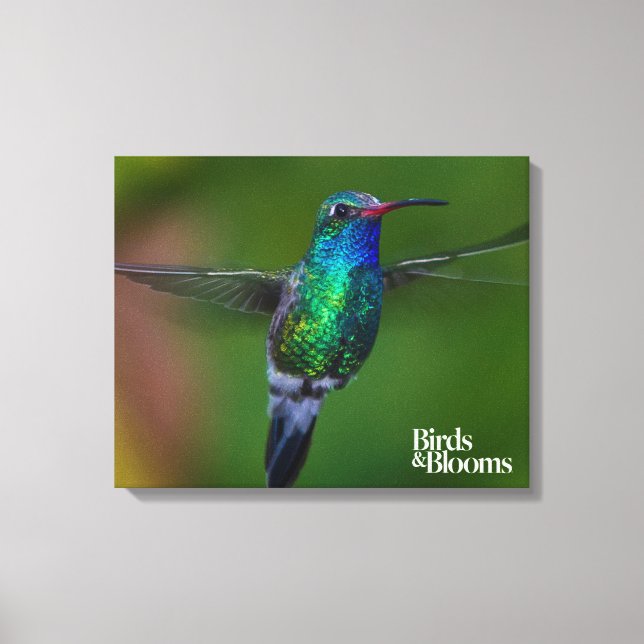 Flytande Hummingbird Canvastryck (Framsida)