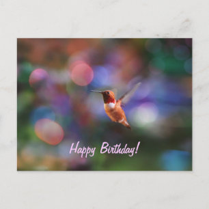 Flytande hummingbird och färglös bakgrund vykort