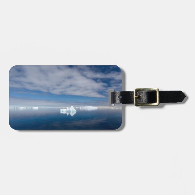 Flytande is i Antarctica Bagagebricka (Horisontell Framsida)