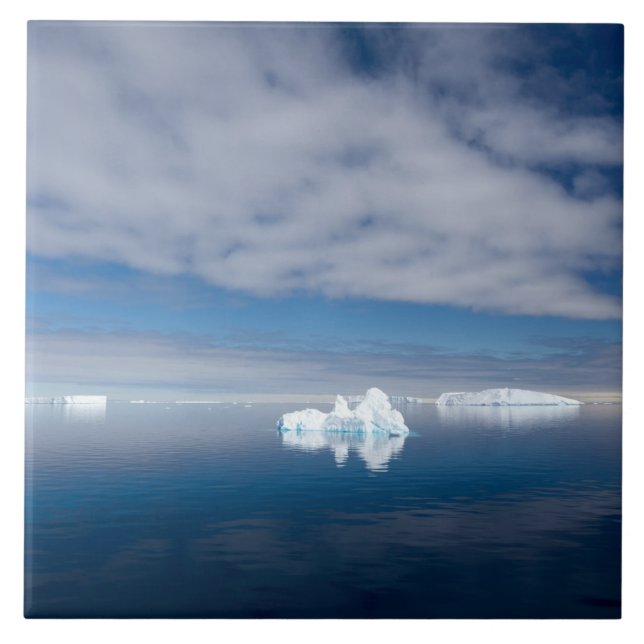 Flytande is i Antarctica Kakelplatta (Framsidan)