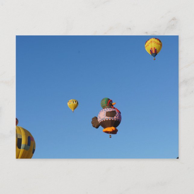 Flytande kyckling vykort (Framsida)