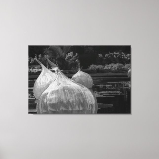 Flytande lökar av glas canvastryck (Framsida)