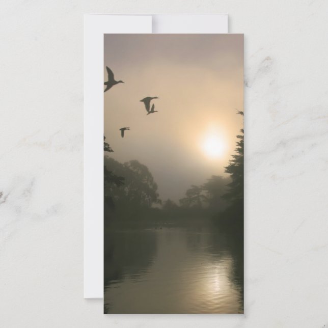 Flytande Mallards och Morgonfog (Framsida)