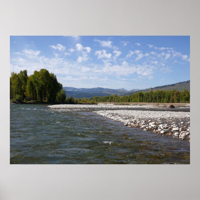 Flytande nerför Snake River I Poster (Framsidan)