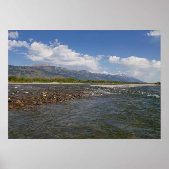 Flytande nerför Snake River II Poster (Framsidan)