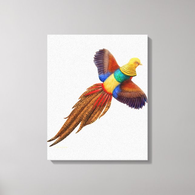 Flytande orientaliskt Golden Pheasant Wrapped Canv Canvastryck (Framsida)