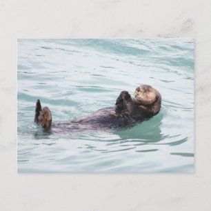 Flytande Otter i Alaska Vykort