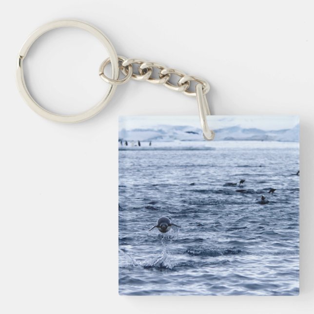 Flytande penguin (Framsidan)