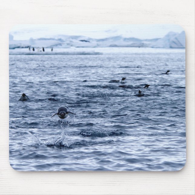 Flytande penguin musmatta (Framsidan)