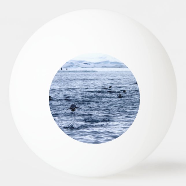 Flytande penguin pingisboll (Baksidan)