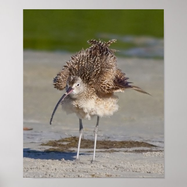 flytande poster (Framsidan)