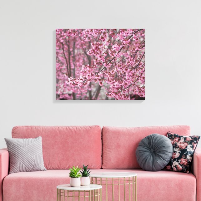 Flytande Rosa japanska Blommar för körsbär Poster Canvastryck (Insitu (Vardagsrum))