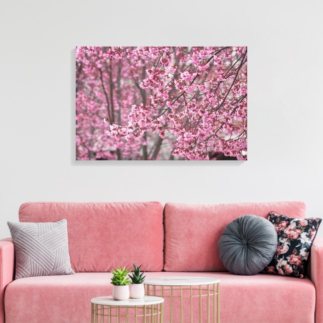 Flytande Rosa japanska Blommar för körsbär Poster Canvastryck (Insitu (Vardagsrum))