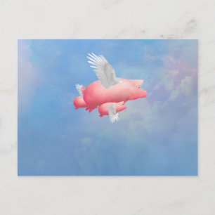 Flytande smågrisar vykort