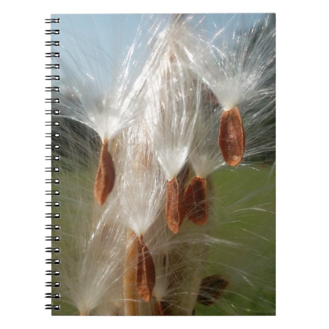 Flytande utsäde: Abstrakten Milkweed Anteckningsbok Med Spiral (Framsidan)