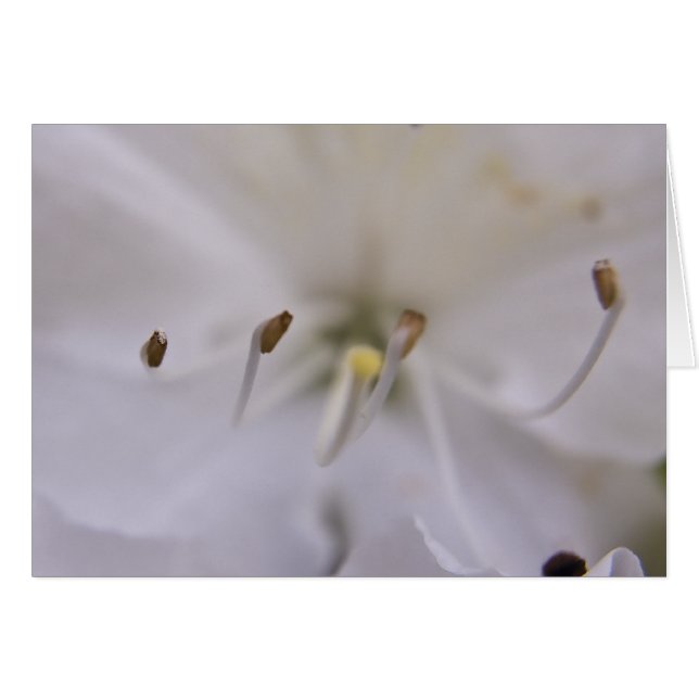 Flyter kort (Framsidan Horizontal)