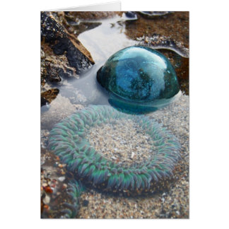 Flyter och anemon av glas hälsningskort