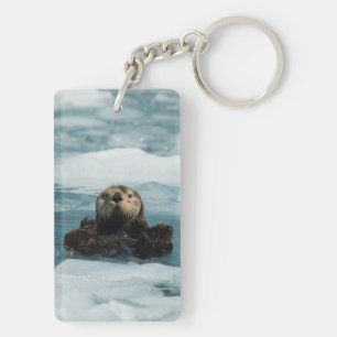 Flyter Otter