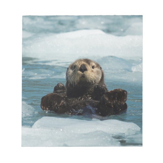 Flyter Otter Anteckningsblock (Framsida)