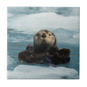 Flyter Otter Kakelplatta