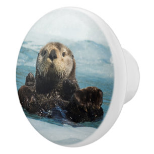 Flyter Otter Knopp