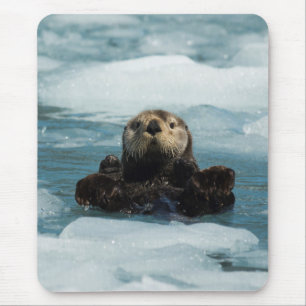 Flyter Otter Musmatta