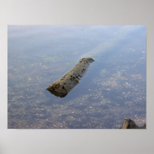 Flyter Poster loggfoto