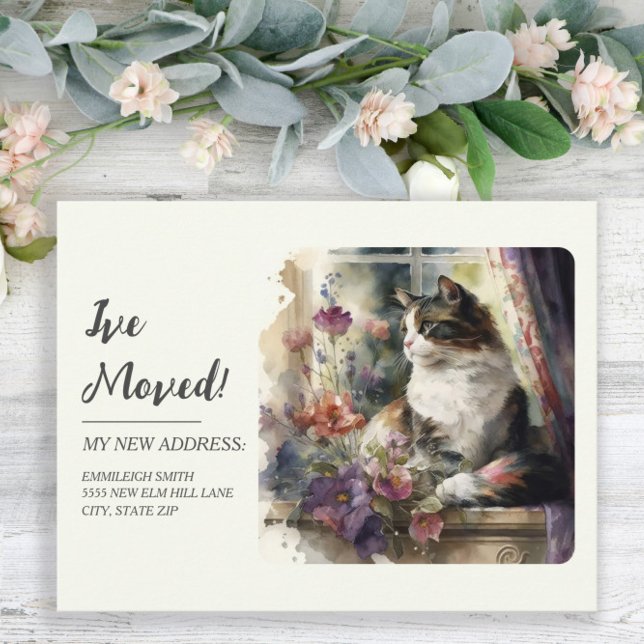 Flytta Announcement Cat Window Lila blommor Vykort (Skapare uppladdad)